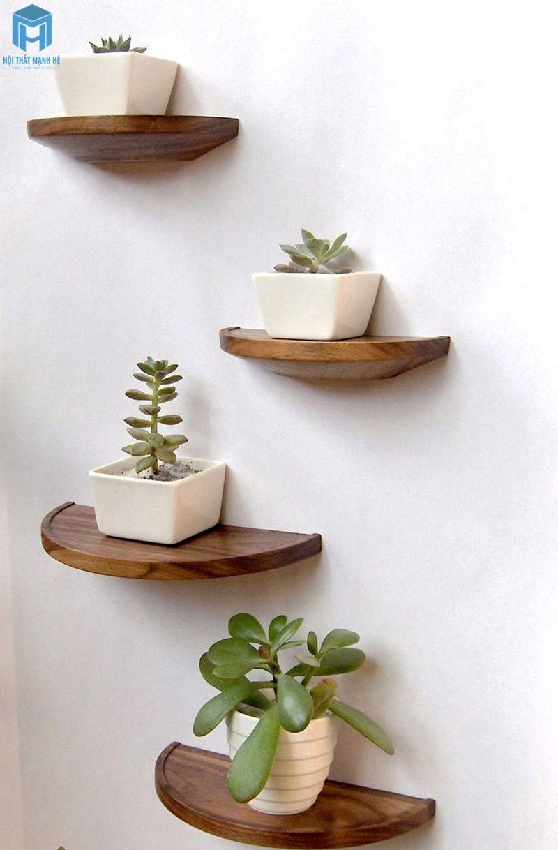 Kệ gỗ treo tường trồng cây đơn giản