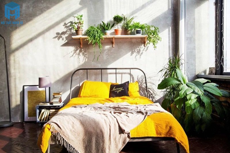 Trang trí cây cảnh trong phòng ngủ
