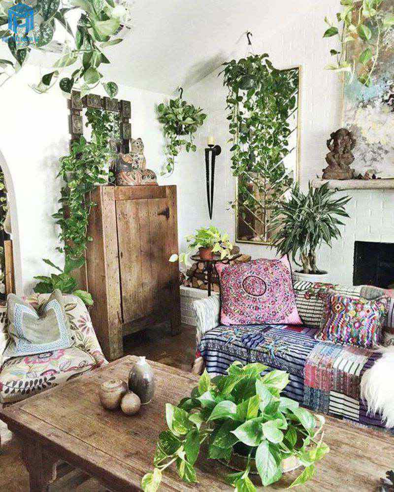 Nội thất cây tự nhiên Bohemian