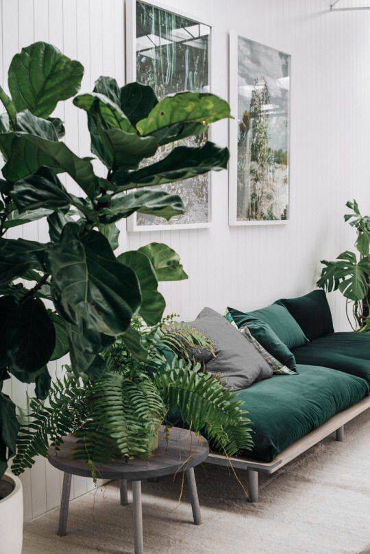 bộ ghế sofa màu xanh rêu