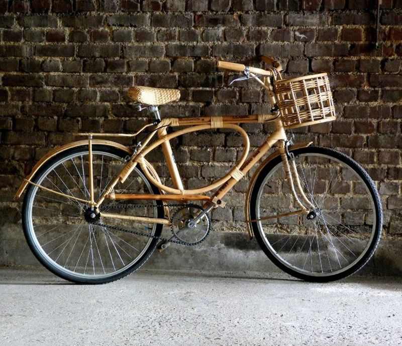 Chiếc xe đạp Bamboo Coletter
