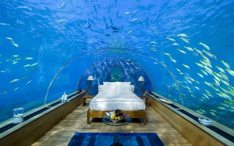 Phòng ngủ đại dương