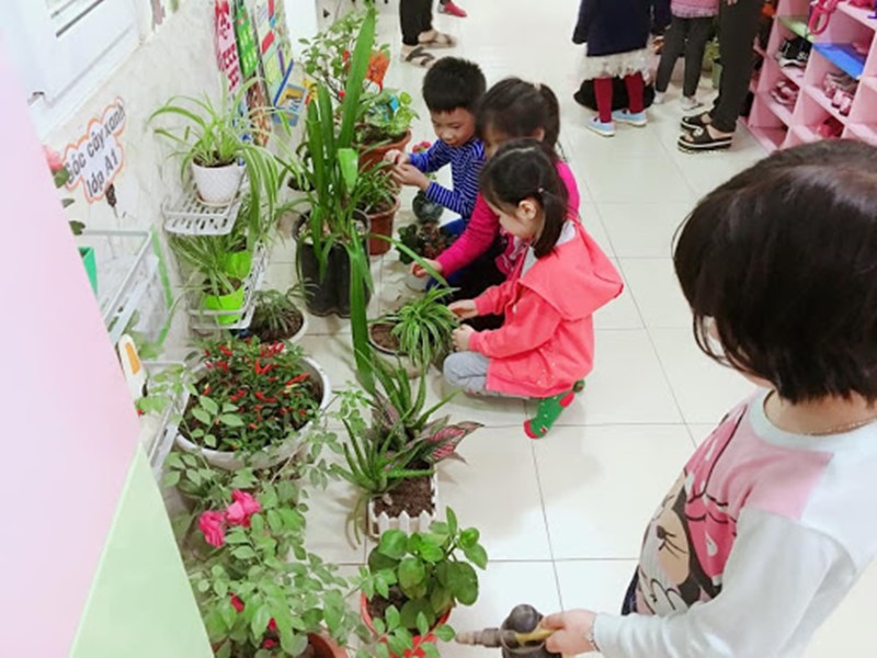 Tạo tính cách chăm chỉ từ nhỏ cho bé với góc trồng cây thiên nhiên