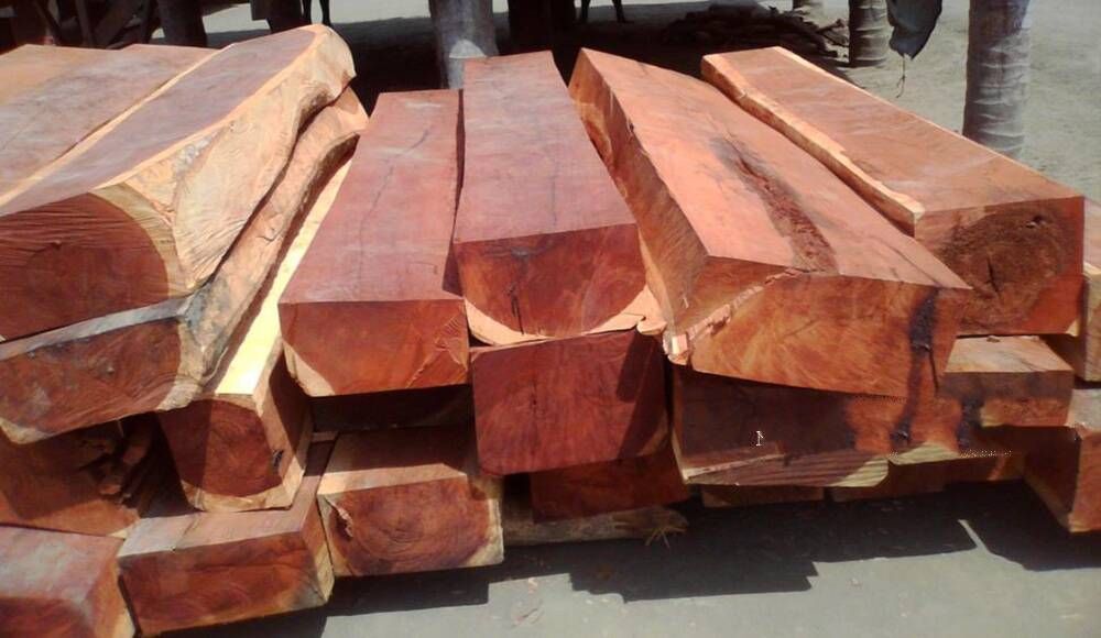 Các loại gỗ Gụ hiện nay trên thị trường Việt Nam