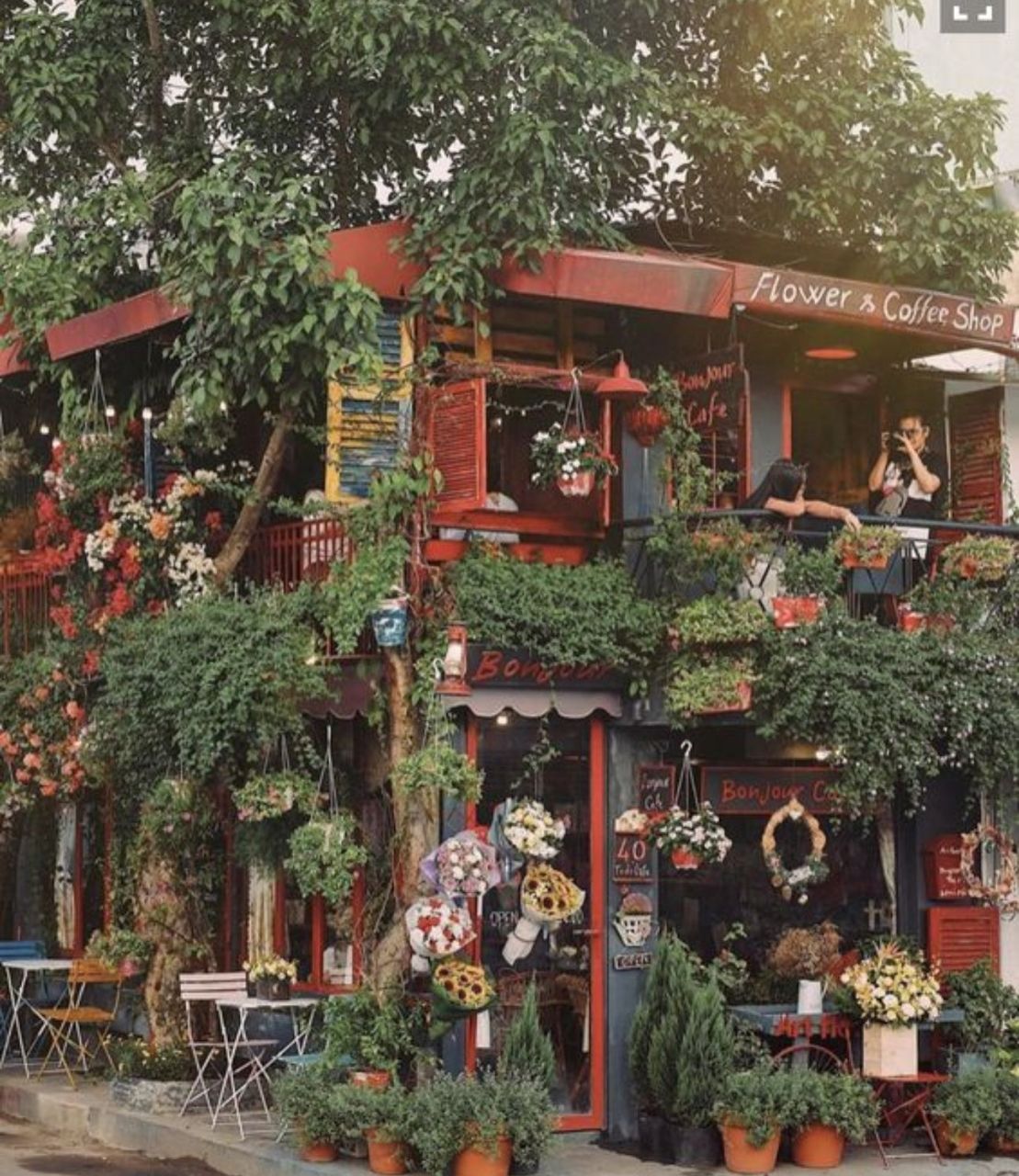 Ý tưởng 24: Tận dụng cây cao để trang trí quán cafe độc nhất vô nhị