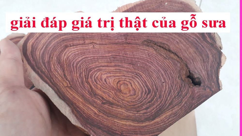 Giá trị đảm bảo sức khỏe tốt cho người sử dụng gỗ sưa đỏ