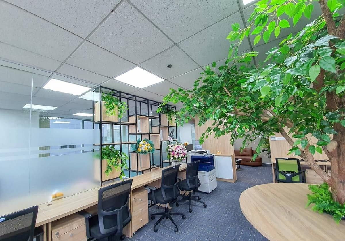 Thiết kế văn phòng nhỏ có vách ngăn kết hợp cây cối tạo sự thoáng mát cho không gian