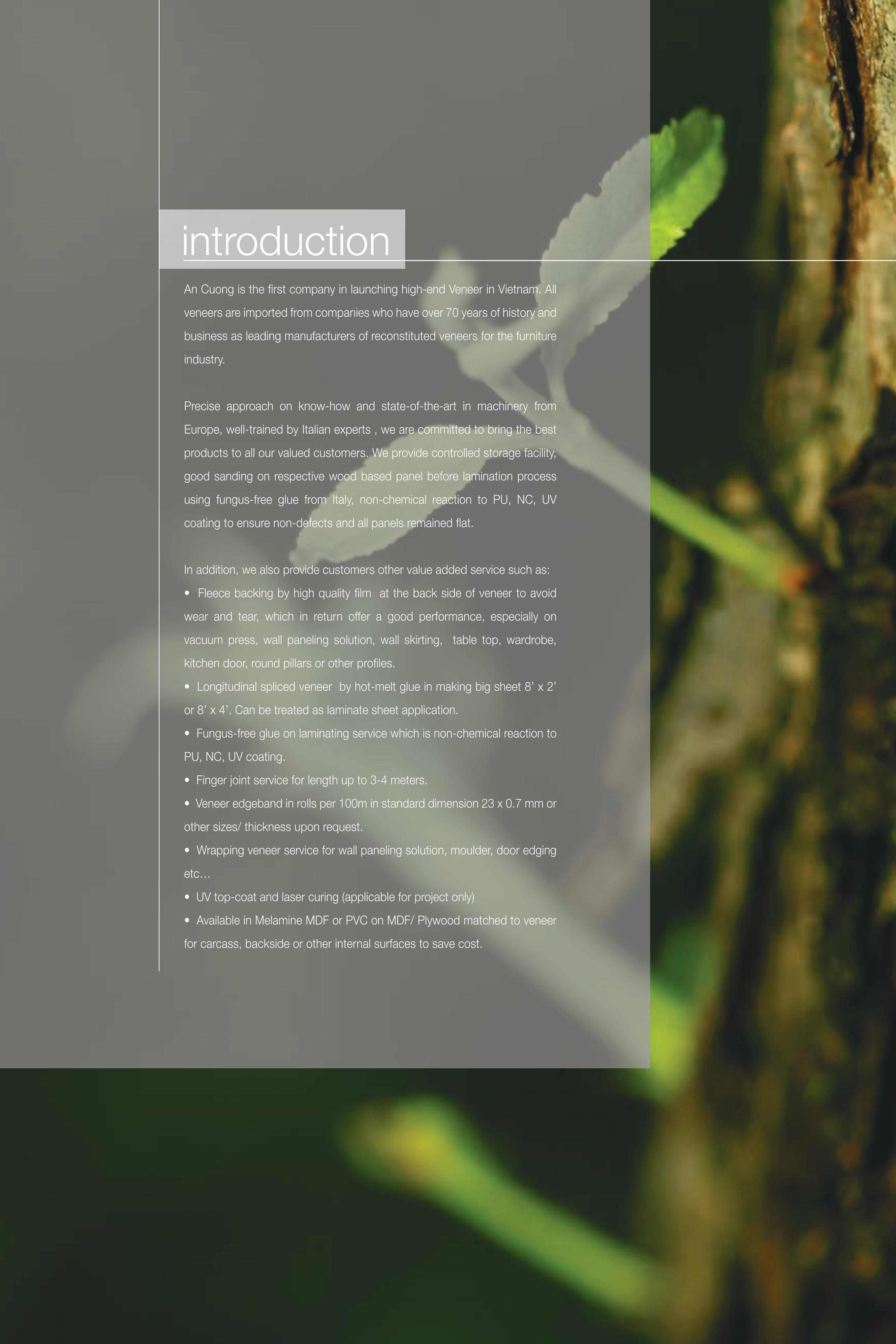 Veneer là gì? Bảng catalogue mã màu gỗ Veneer của ván MDF MFC An Cường