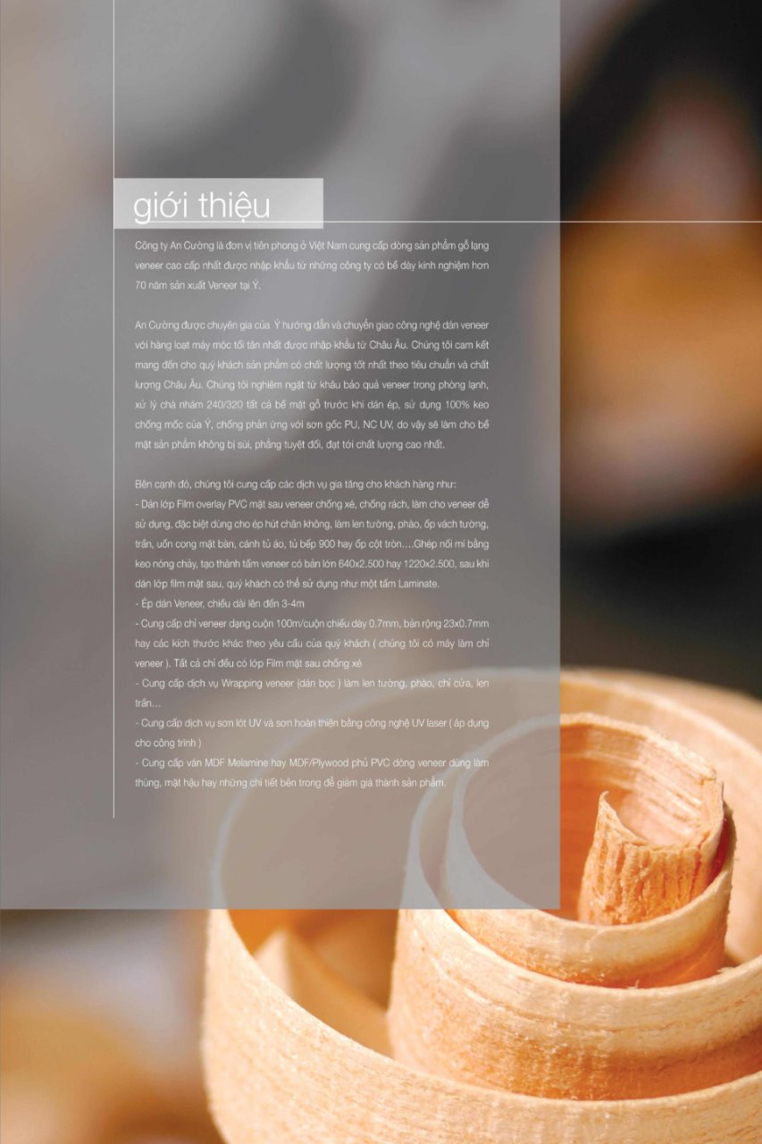 Veneer là gì? Bảng catalogue mã màu gỗ Veneer của ván MDF MFC An Cường