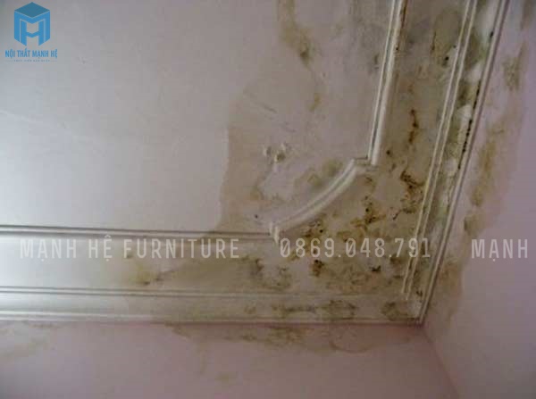trần thạch cao bị mốc