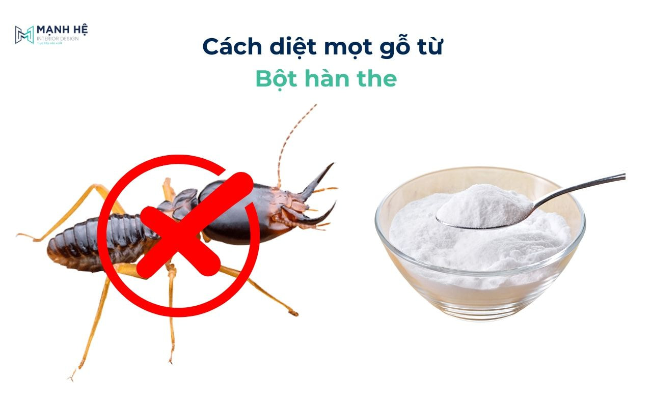 Sử dụng bột hàn the để diệt mối mọt