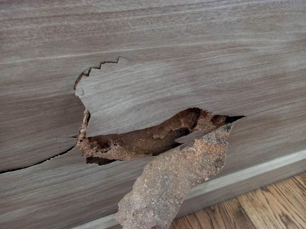 Đồ nội thất dần bị nứt, gãy xuống cấp do tình trạng mối mọt xâm nhập