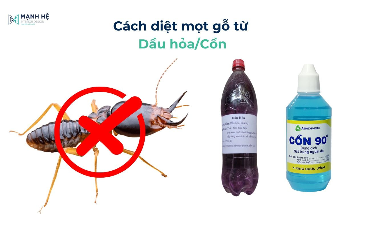Cách diệt mối mọt tại nhà bằng cồn và dầu hỏa