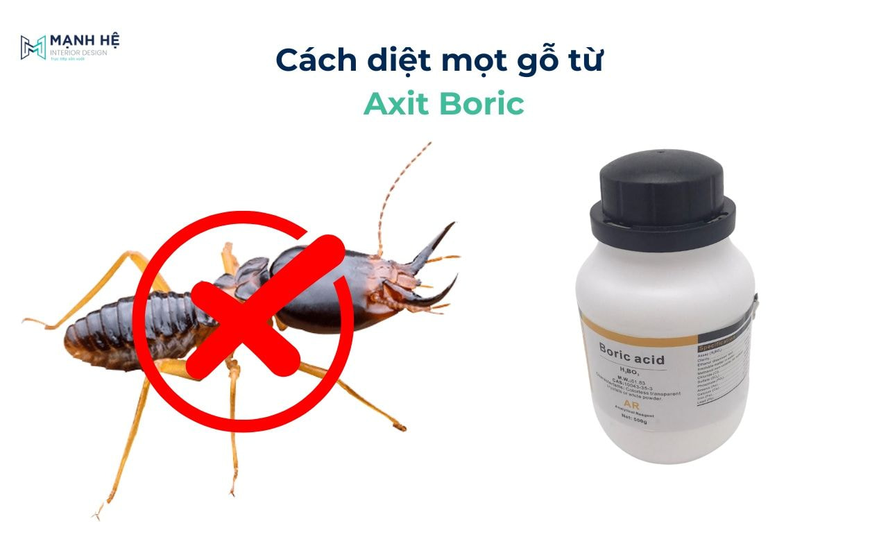 Sử dụng axit boric để diệt mối mọt tại nhà