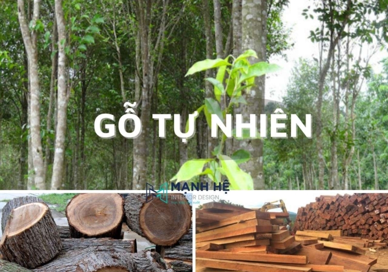 2 Go Tu Nhien