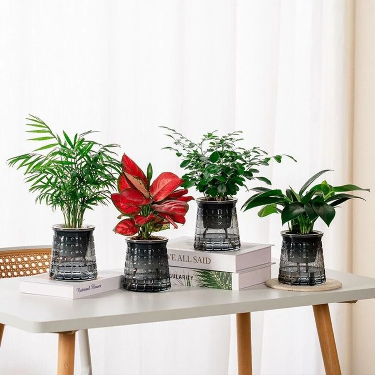 Đặt những chậu cây mini trên bàn đẻ không gian thêm phần thẩm mỹ