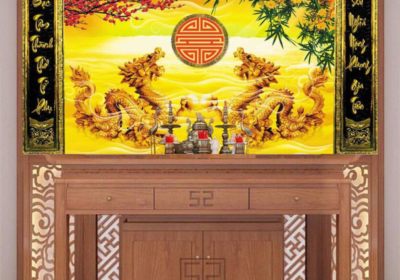Giay Dan Tuong Phong Tho 12