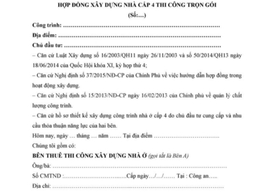 Mau Hop Dong Thi Cong Trang 1