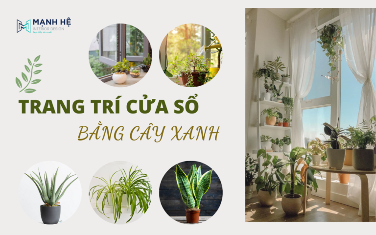 Trang Tri Cua So Bang Cay Xanh