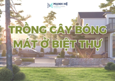 Trong Cay Bong Mat O Biet Thu