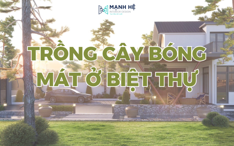 Trong Cay Bong Mat O Biet Thu